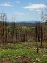 Lot 2 Goyan Road New Moonta QLD 4671 - Image 1