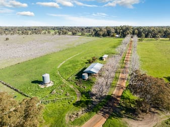 118 Stony Crossing Road Murray Downs NSW 2734 - Image 3