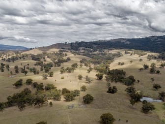 "Nelson's" Stock Route Rd Blandford NSW 2338 - Image 1