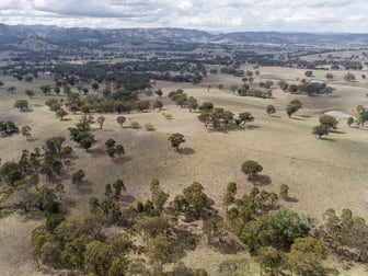 "Nelson's" Stock Route Rd Blandford NSW 2338 - Image 3