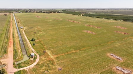 Farm 2002 Carver Road Stanbridge NSW 2705 - Image 3
