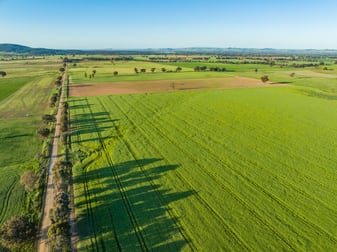Tallarook Road Cowra NSW 2794 - Image 1