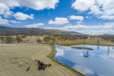 2792 Old Stanthorpe Road Dalveen QLD 4374 - Image 2