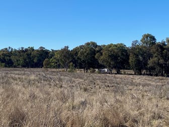 129 Newell Highway Coonabarabran NSW 2357 - Image 1