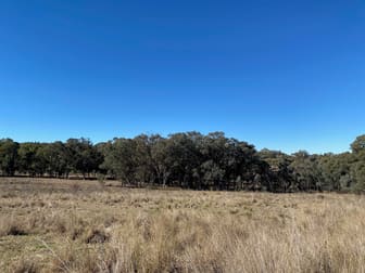 129 Newell Highway Coonabarabran NSW 2357 - Image 2