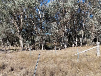 129 Newell Highway Coonabarabran NSW 2357 - Image 3