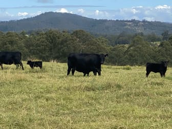 Kyogle NSW 2474 - Image 2