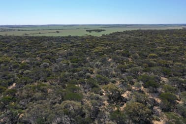 Lot 25253 Ellery Road South Burracoppin WA 6421 - Image 1