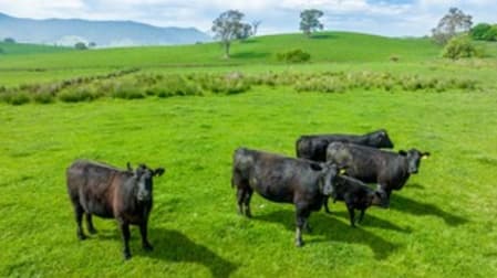 Tallangatta Creek Road Tallangatta Valley VIC 3701 - Image 2