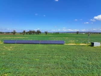 226 Dartbrook Road Aberdeen NSW 2336 - Image 3