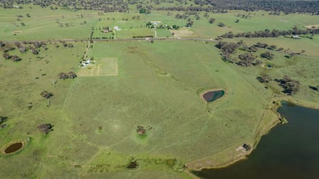8774 New England Highway Tenterfield NSW 2372 - Image 3