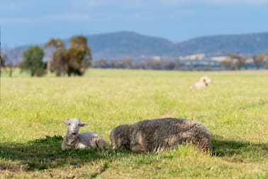 'North Calare' 29 Gurneys Road Cowra NSW 2794 - Image 3