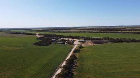 2351 Murdinga-Murlong Rd Murlong SA 5642 - Image 1