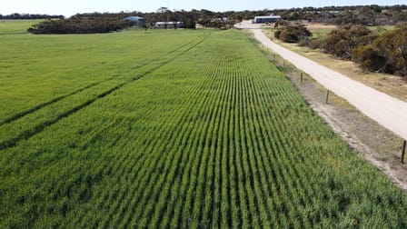 Click to view all images 2351 Murdinga-Murlong Rd Murlong SA 5642 - Image 2