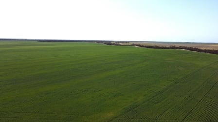 Click to view all images 2351 Murdinga-Murlong Rd Murlong SA 5642 - Image 3