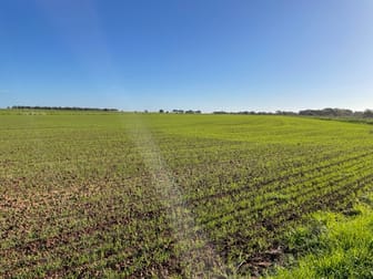 FARM 5007 “DANCORD” Coleambally NSW 2707 - Image 1