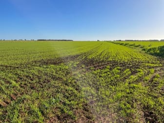 “DANCORD” FARM 5007 Coleambally NSW 2707 - Image 2