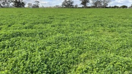 210 Butterworths Rd Benayeo VIC 3319 - Image 2