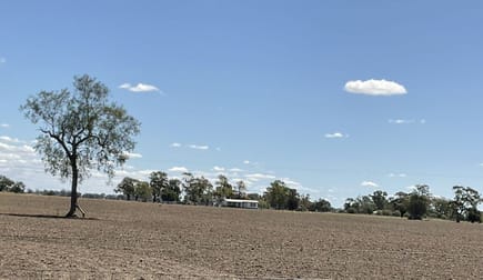 345 Castlereagh Hwy Coonamble NSW 2829 - Image 2