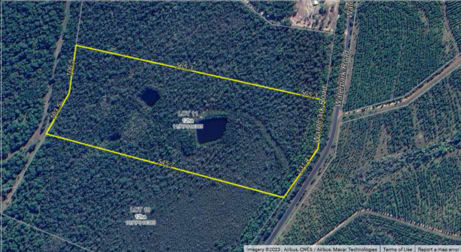 Lot 11 Waterpark Road Byfield QLD 4703 - Image 1