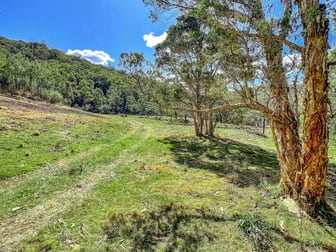 Lot B Olney Arm Road Laguna NSW 2325 - Image 1