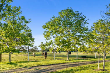 209 Korijekup Avenue Harvey WA 6220 - Image 2