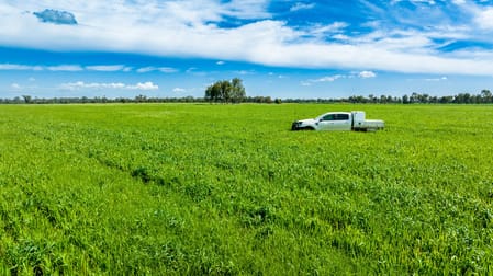 'Arden Vale' Walbundrie Road Walla Walla NSW 2659 - Image 1