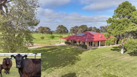 294 Bowaka Road Kingston Se SA 5275 - Image 1