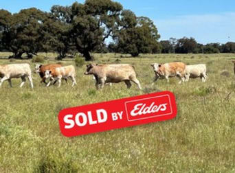 157 Blake Road Bunnaloo NSW 2731 - Image 1