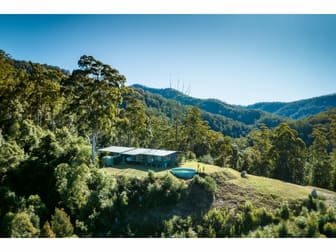 103/2745 Kalang Road Bellingen NSW 2454 - Image 1