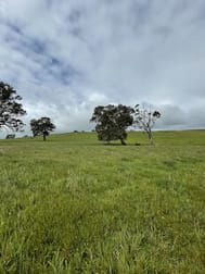 Portland-Casterton Road Henty VIC 3312 - Image 3