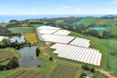 00 Creamery Road Sulphur Creek TAS 7316 - Image 2