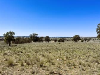 Click to view all images 1012 Coonabarabran Road Mendooran NSW 2842 - Image 3