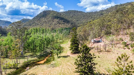 Wrights Creek NSW 2775 - Image 1