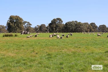 CA 91a 91b Mitchell Street Glenthompson VIC 3293 - Image 1