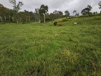 209 Mohrs Road Sarina Range QLD 4737 - Image 2