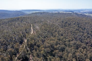 110 Table Mountain Road Interlaken TAS 7030 - Image 3