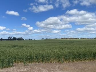 Click to view all images 733 Gun Club Road Minyip VIC 3392 - Image 1