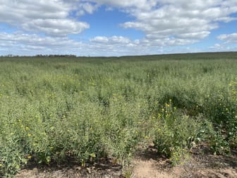733 Gun Club Road Minyip VIC 3392 - Image 2