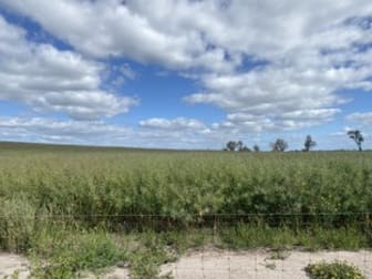 Click to view all images 733 Gun Club Road Minyip VIC 3392 - Image 3