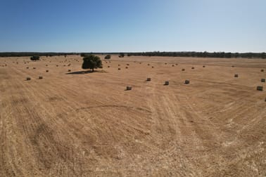 'Boree Glen' 456 Whymarks Lane Tullibigeal NSW 2669 - Image 1