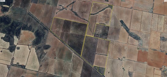 'Boree Glen' 456 Whymarks Lane Tullibigeal NSW 2669 - Image 3