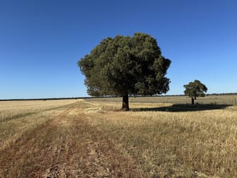 'Boree Glen' 456 Whymarks Lane Tullibigeal NSW 2669 - Image 2
