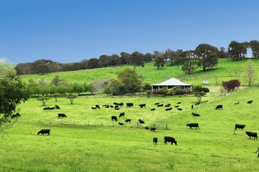217 Wildmere Road (Charley Creek) Donnybrook WA 6239 - Image 1