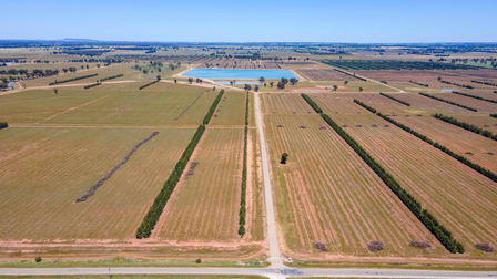 201 Dellapool Road Narrandera NSW 2700 - Image 1