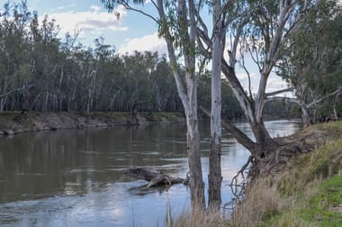 201 Dellapool Road Narrandera NSW 2700 - Image 3