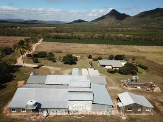 350 Top Eureka Road Dimbulah QLD 4872 - Image 1
