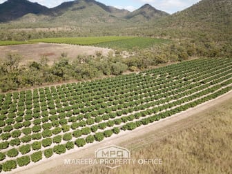 350 Top Eureka Road Dimbulah QLD 4872 - Image 2