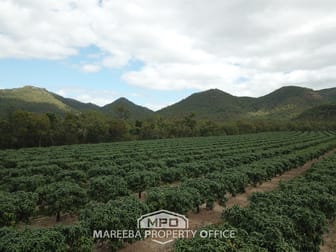 350 Top Eureka Road Dimbulah QLD 4872 - Image 3