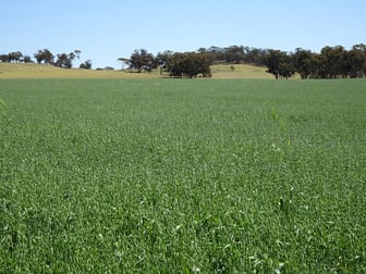 Lullfitz Road Pingelly WA 6308 - Image 1